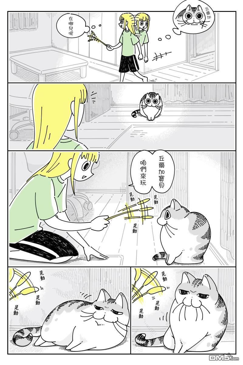 1.jpg
