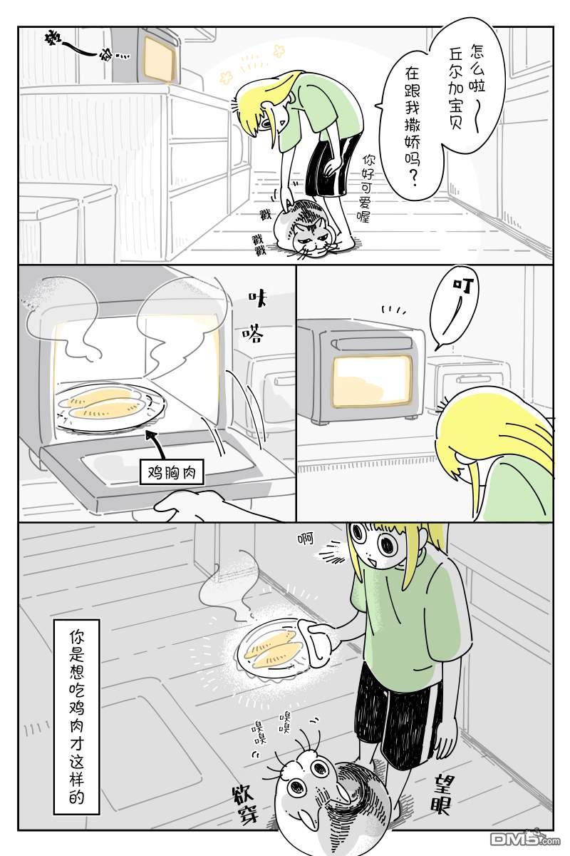 3.jpg