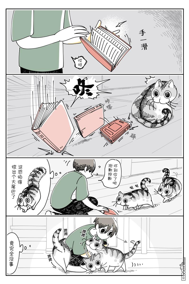 1.jpg
