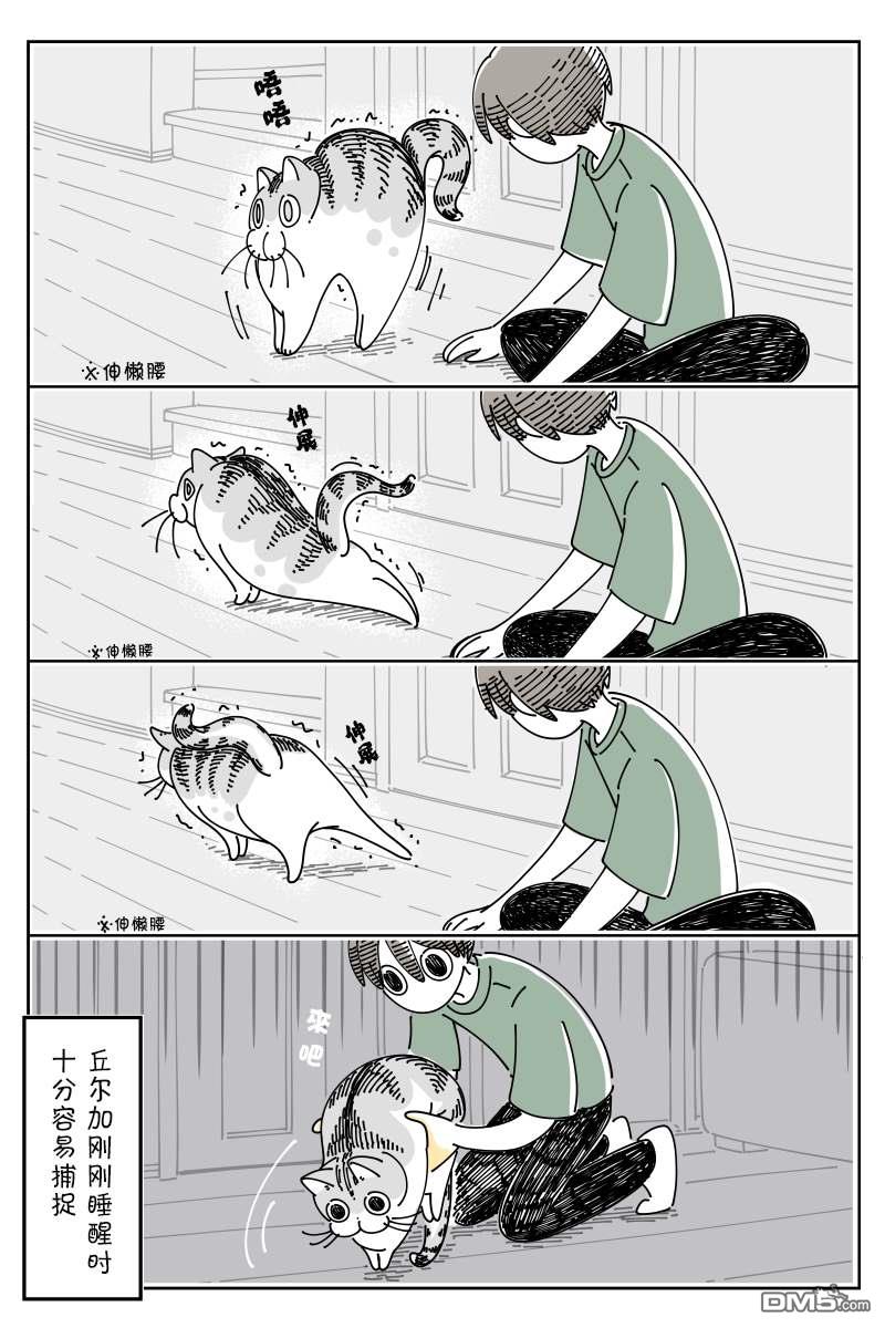 3.jpg