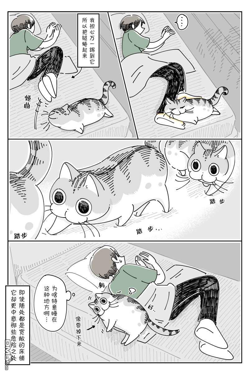 3.jpg