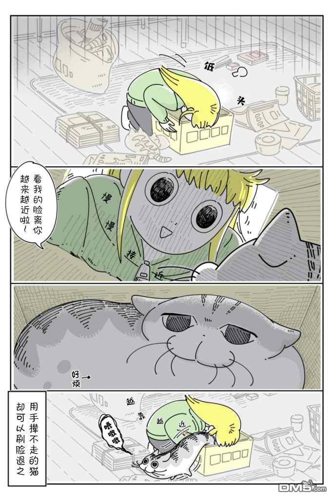 3.jpg