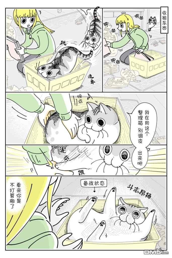 1.jpg