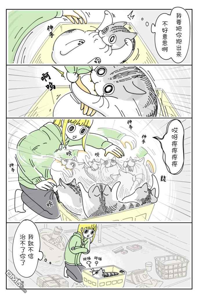 2.jpg