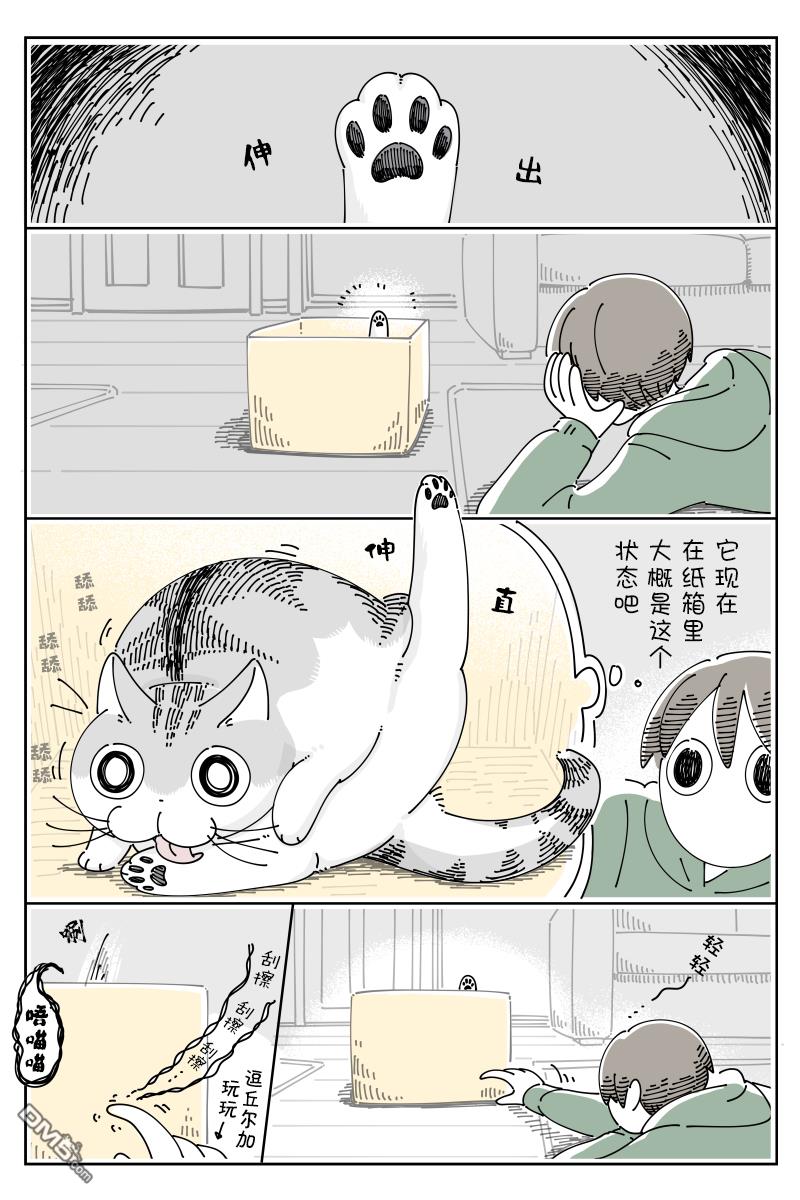 1.jpg