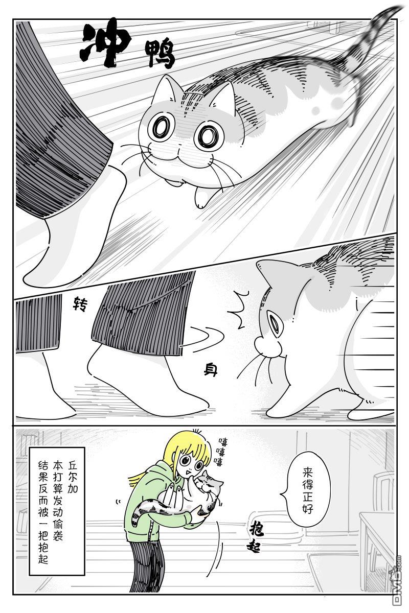 3.jpg