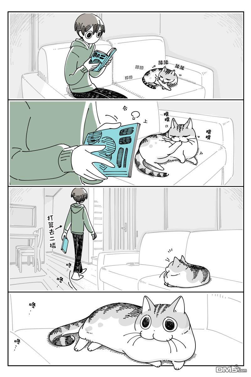 1.jpg