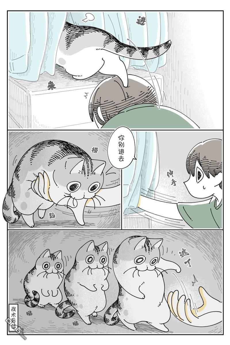 3.jpg