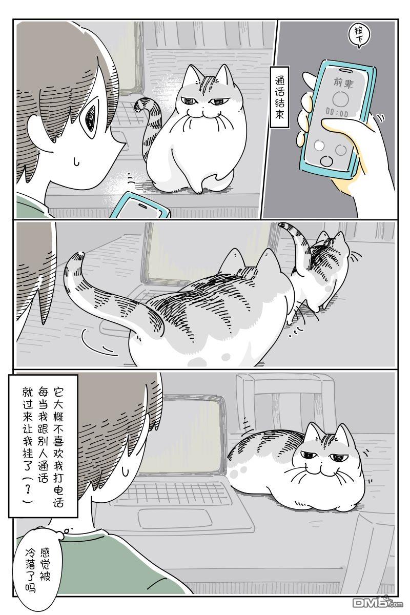 3.jpg