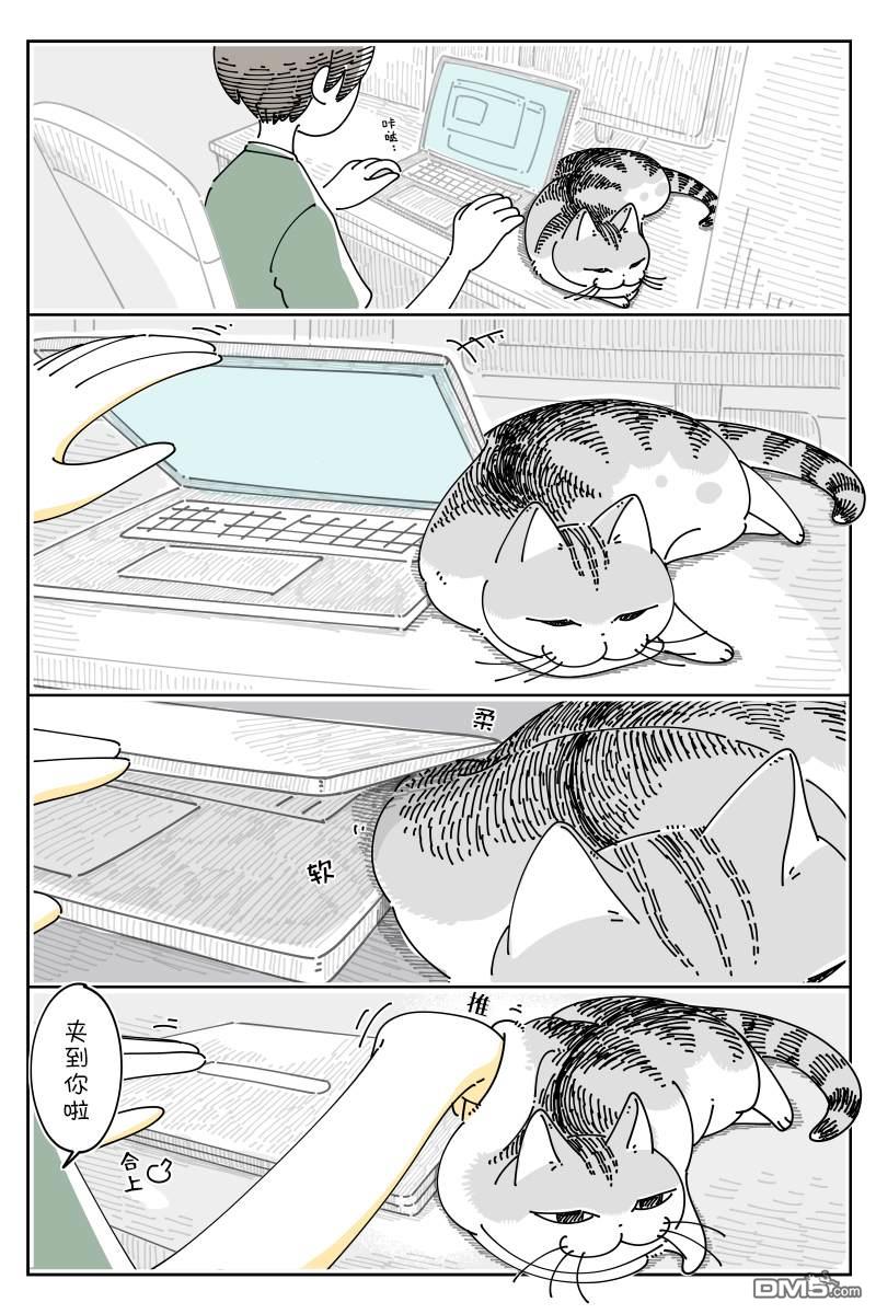 1.jpg
