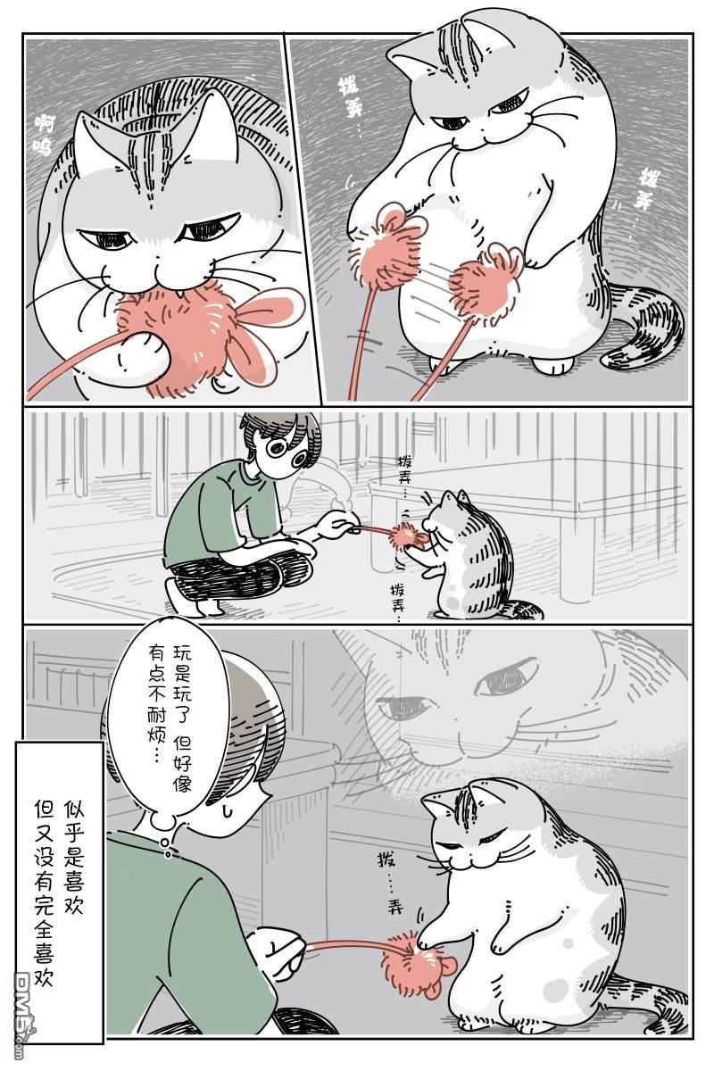 3.jpg