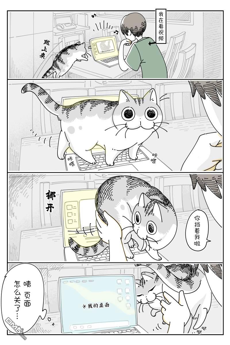 1.jpg