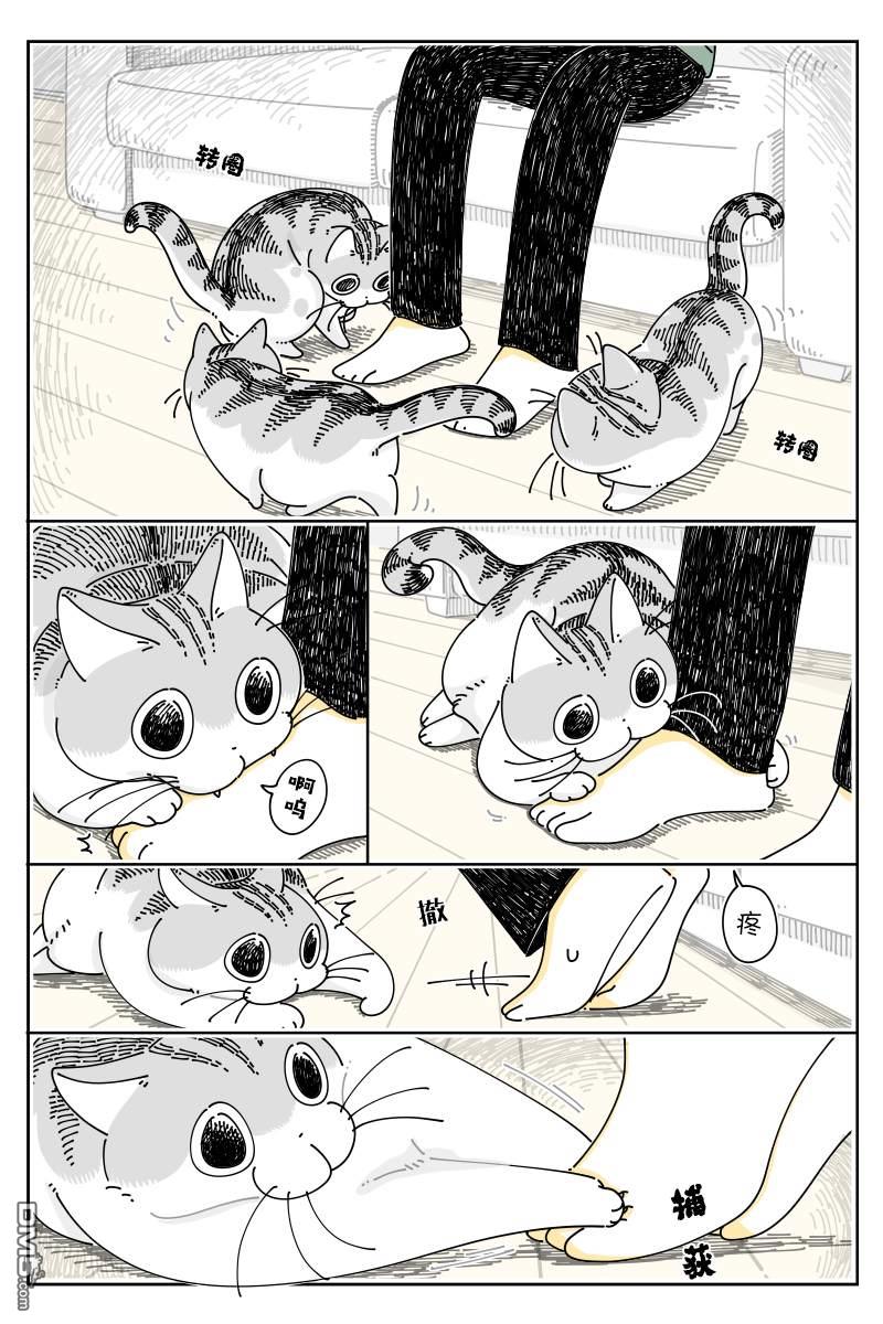 1.jpg