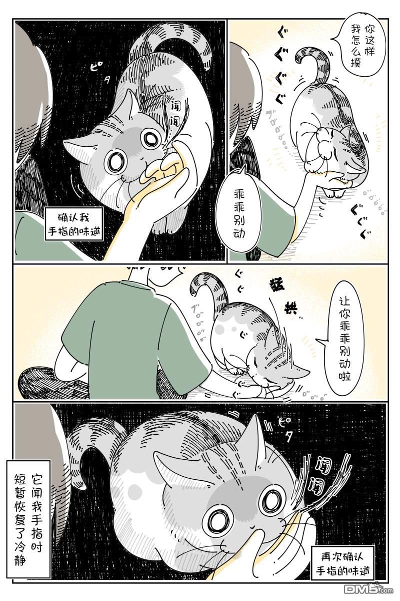 2.jpg