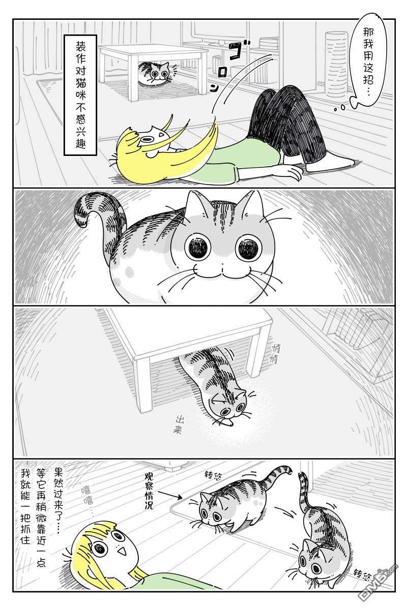 3.jpg