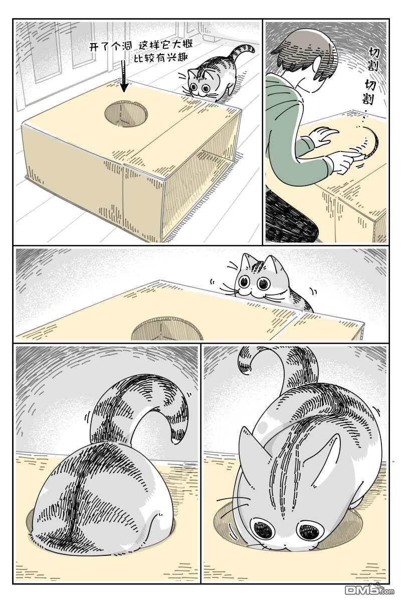 2.jpg