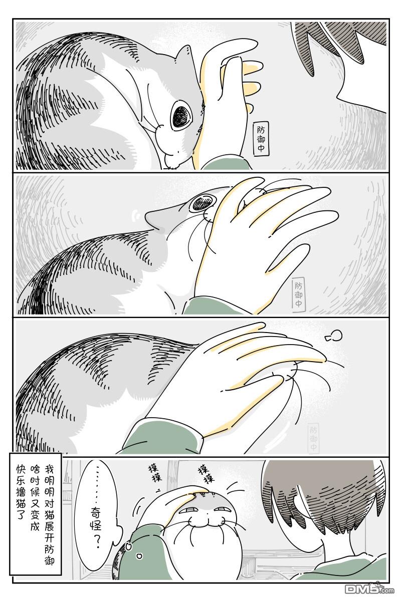 4.jpg