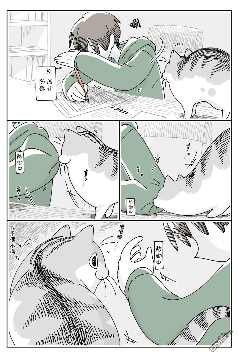 3.jpg