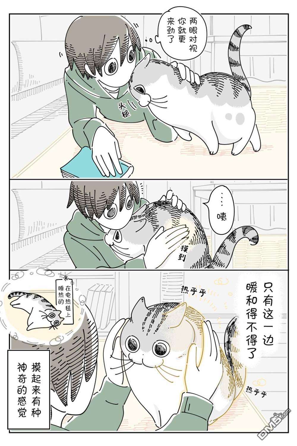 3.jpg