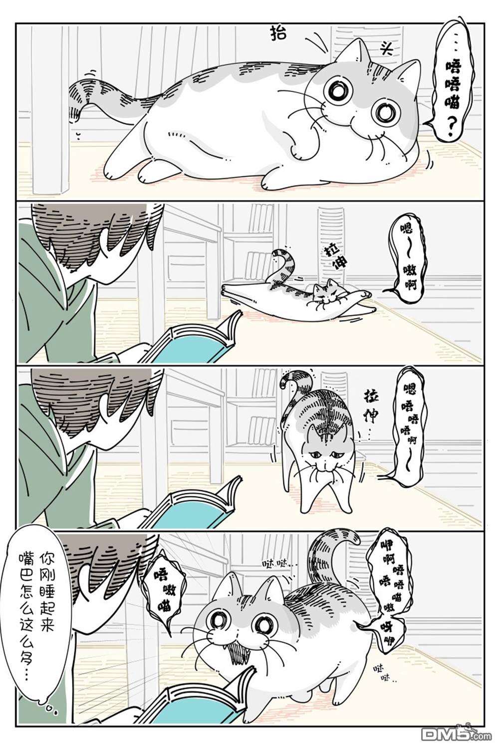 2.jpg