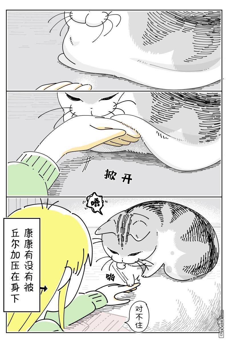 2.jpg