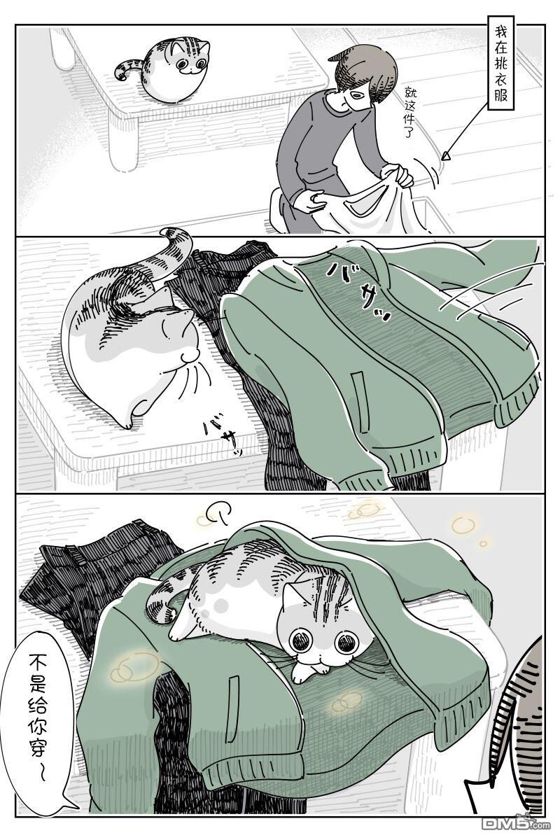 1.jpg