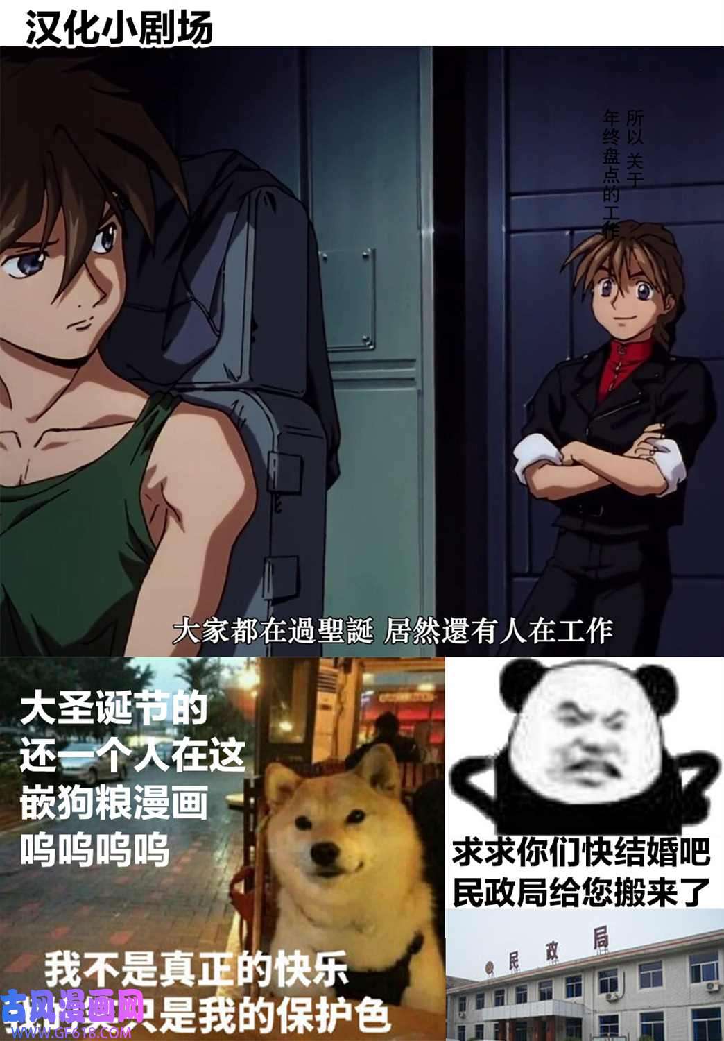 31.jpg