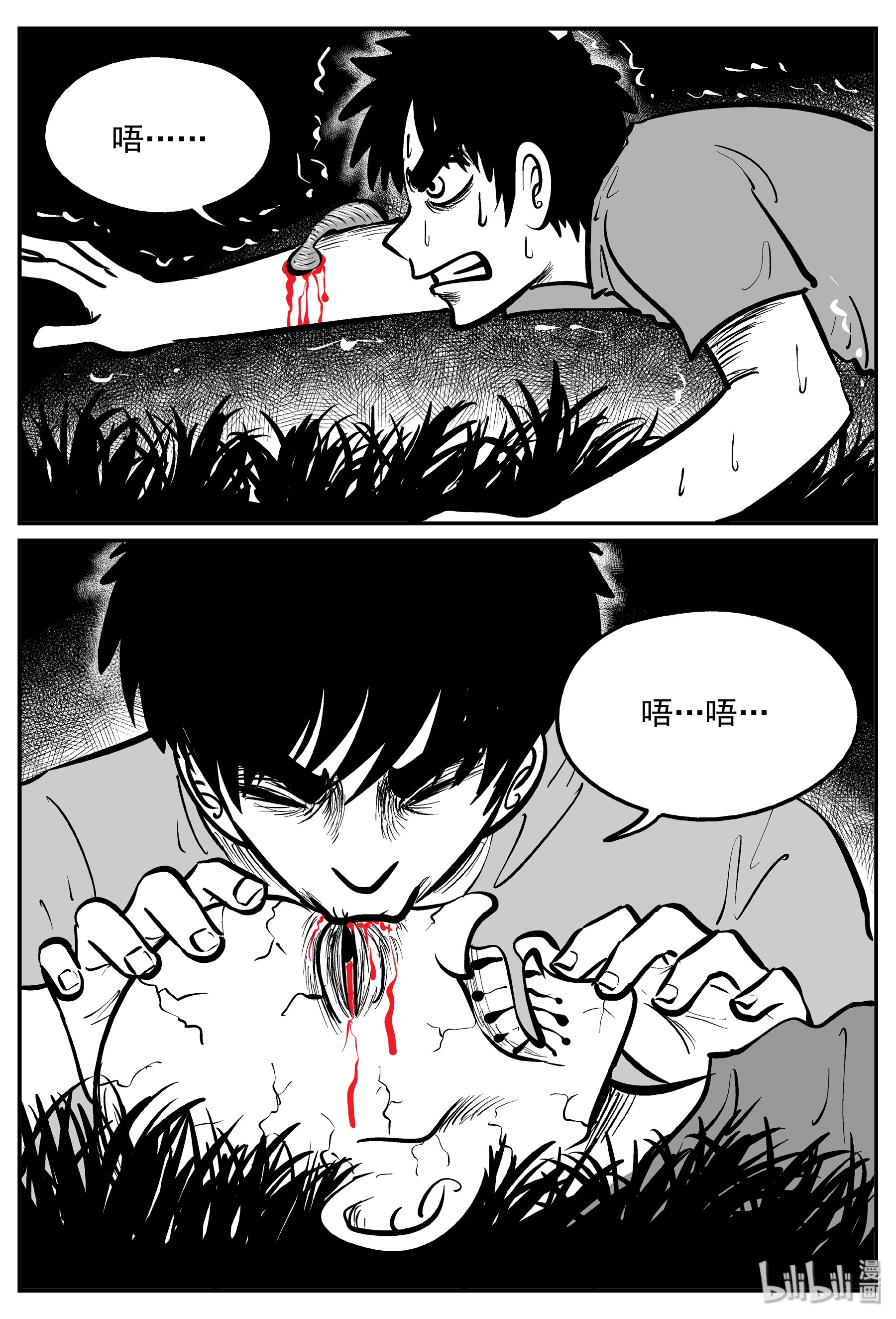 13.jpg