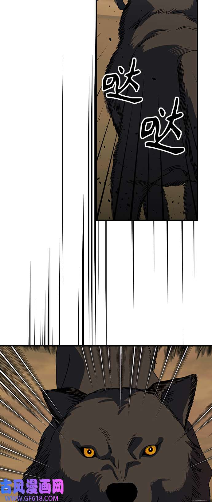 35.jpg