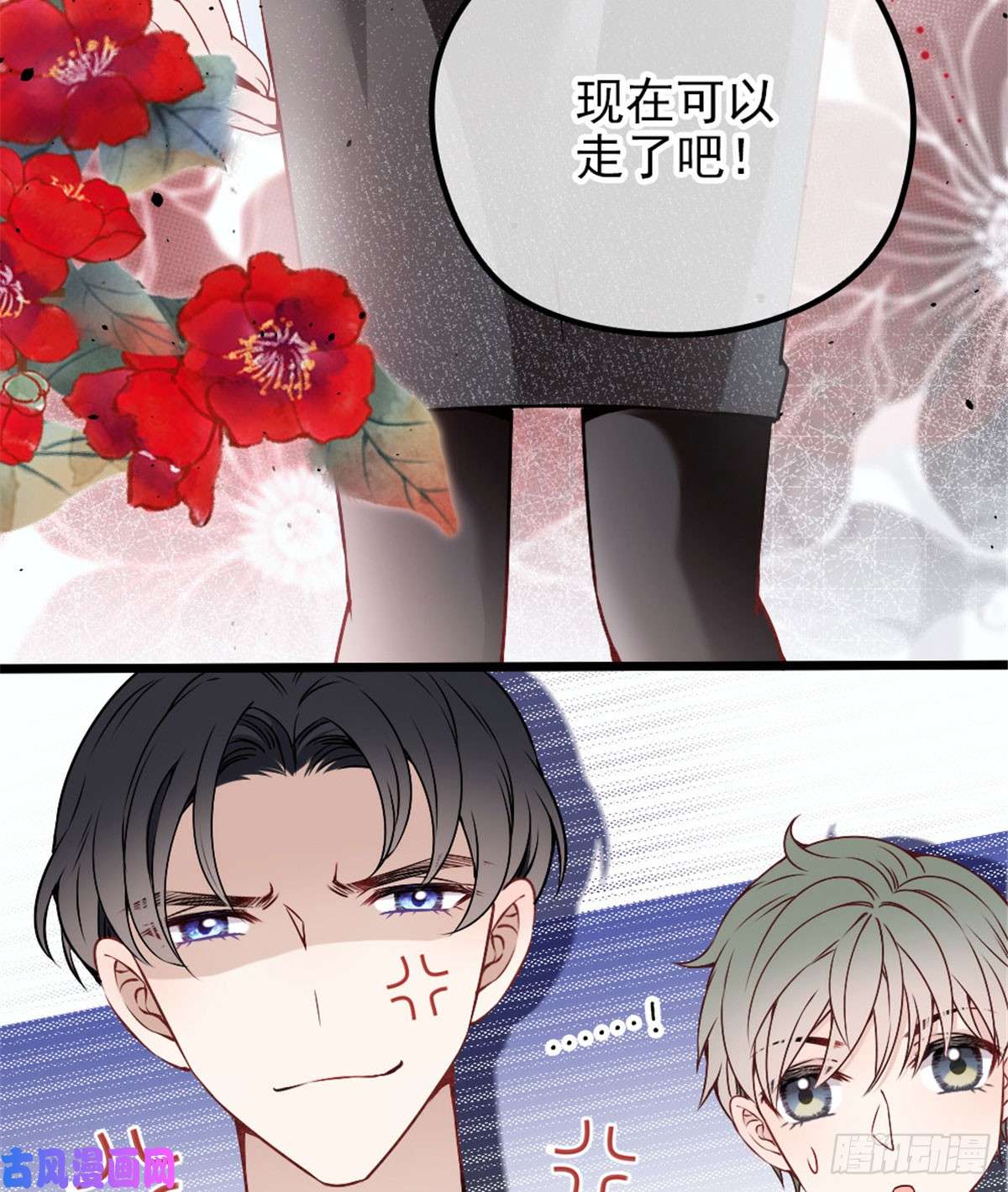 41.jpg