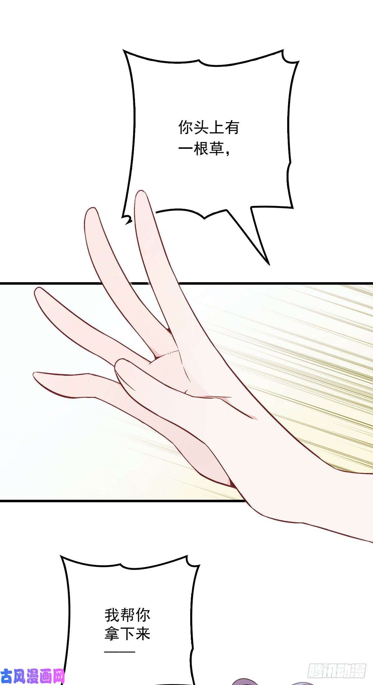 35.jpg
