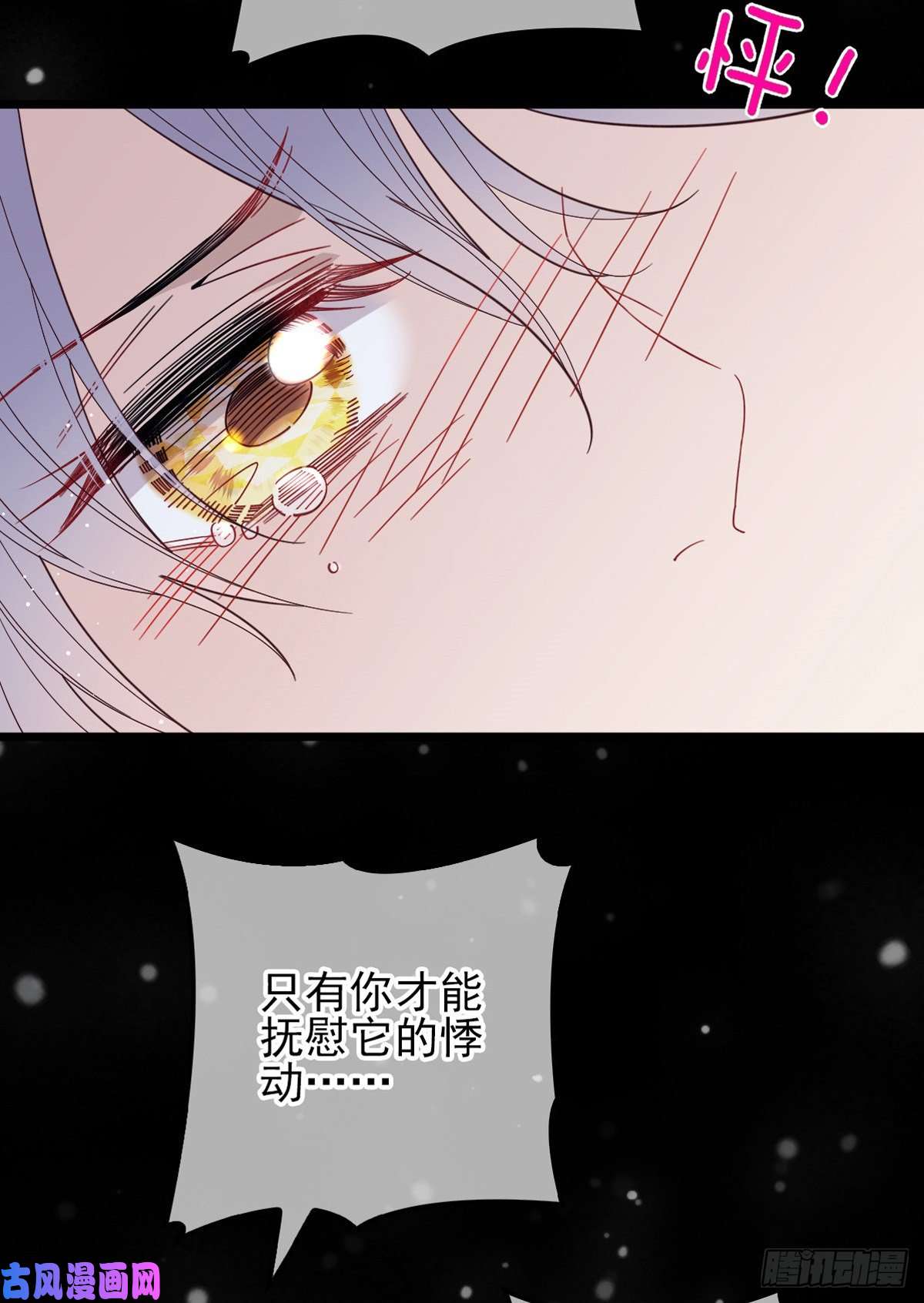 51.jpg