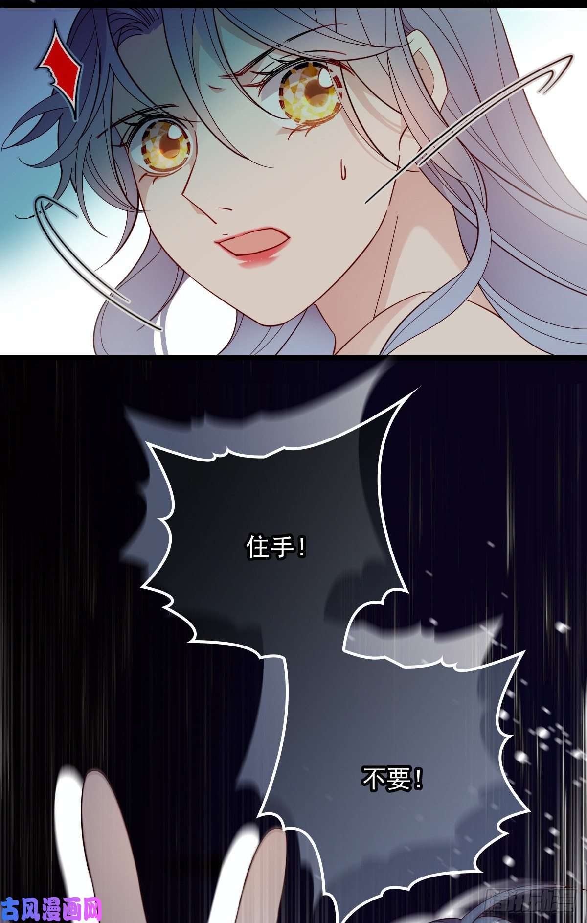 41.jpg