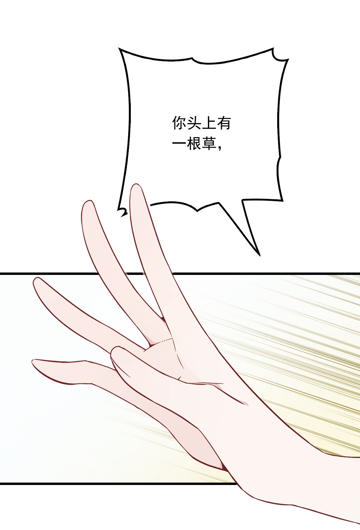 43.jpg