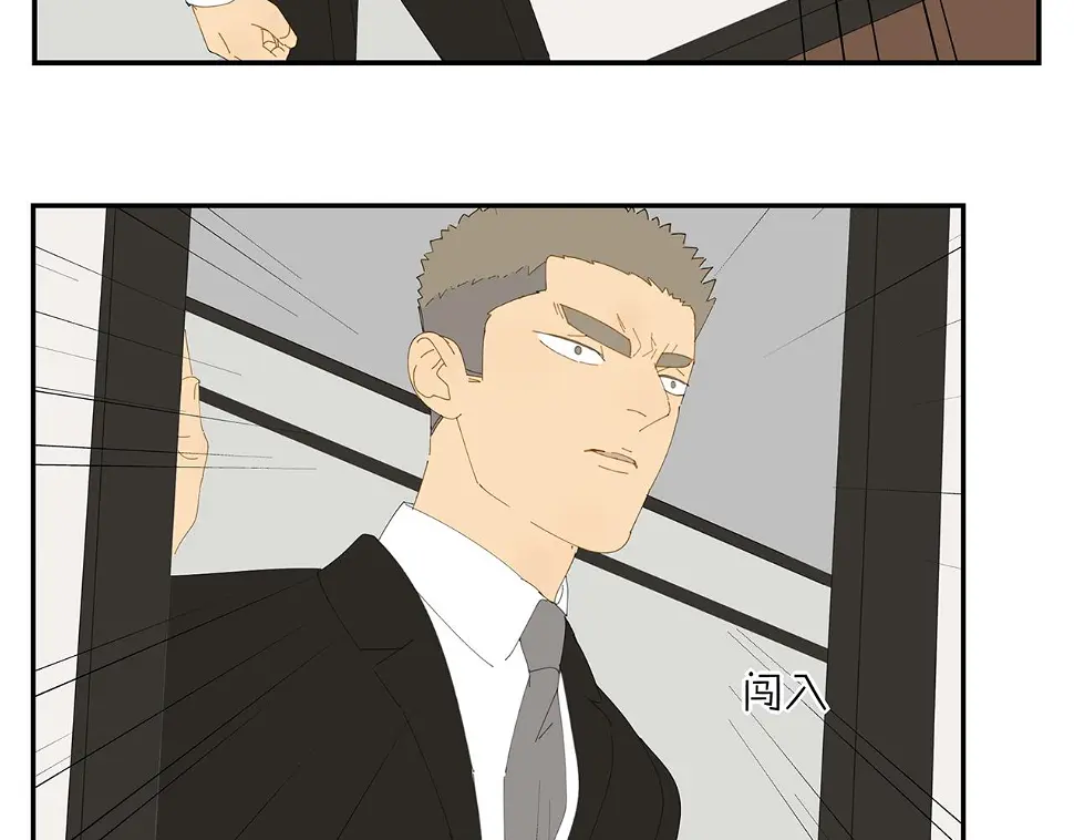 41.jpg