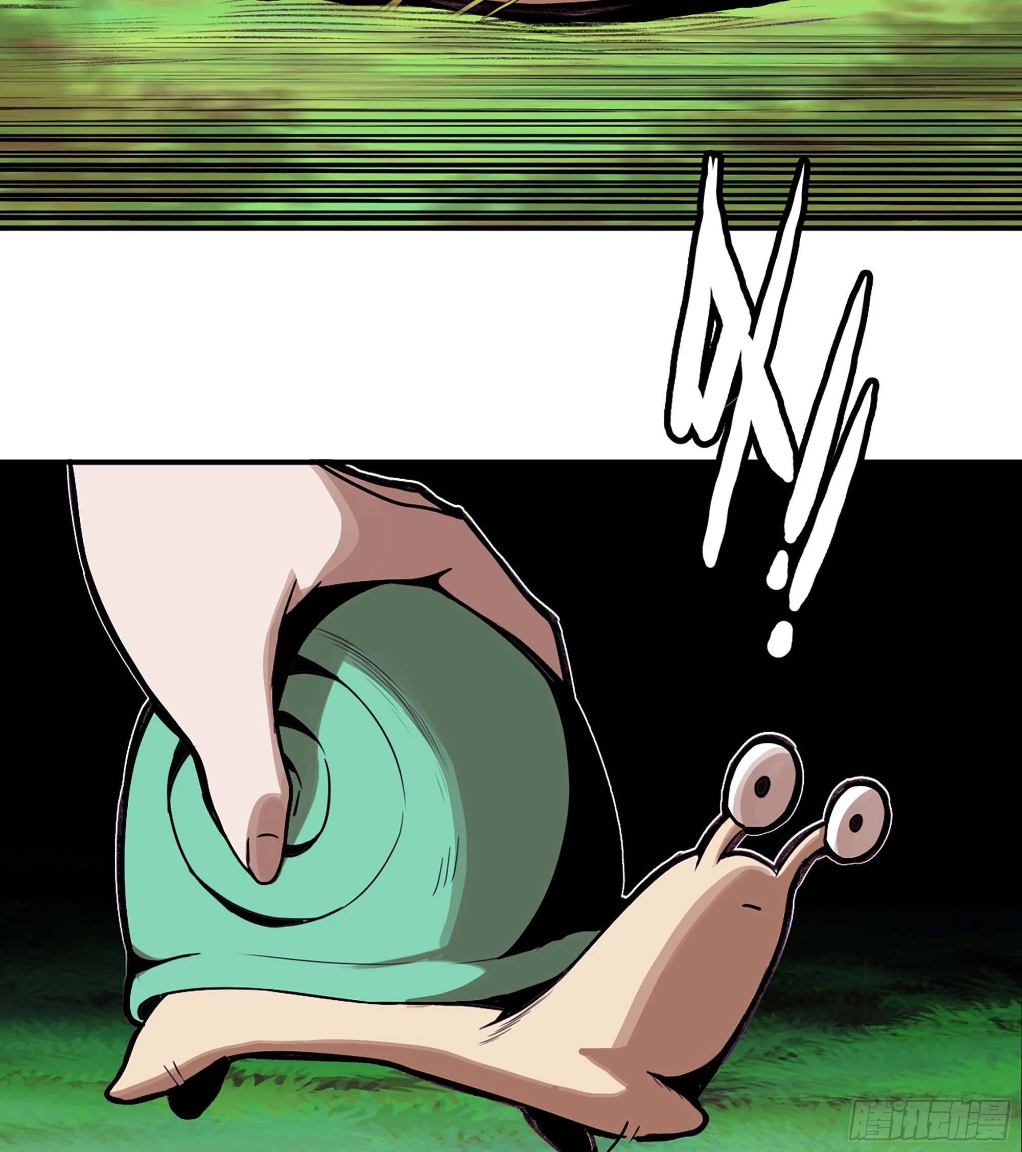24.jpg