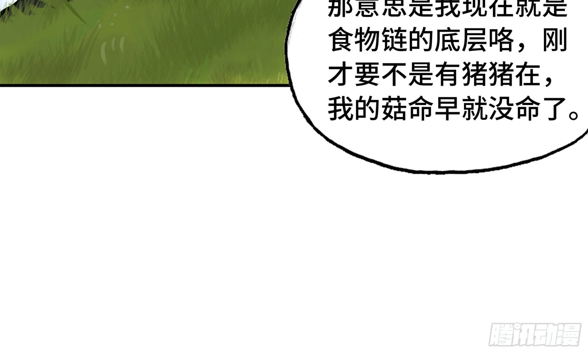33.jpg
