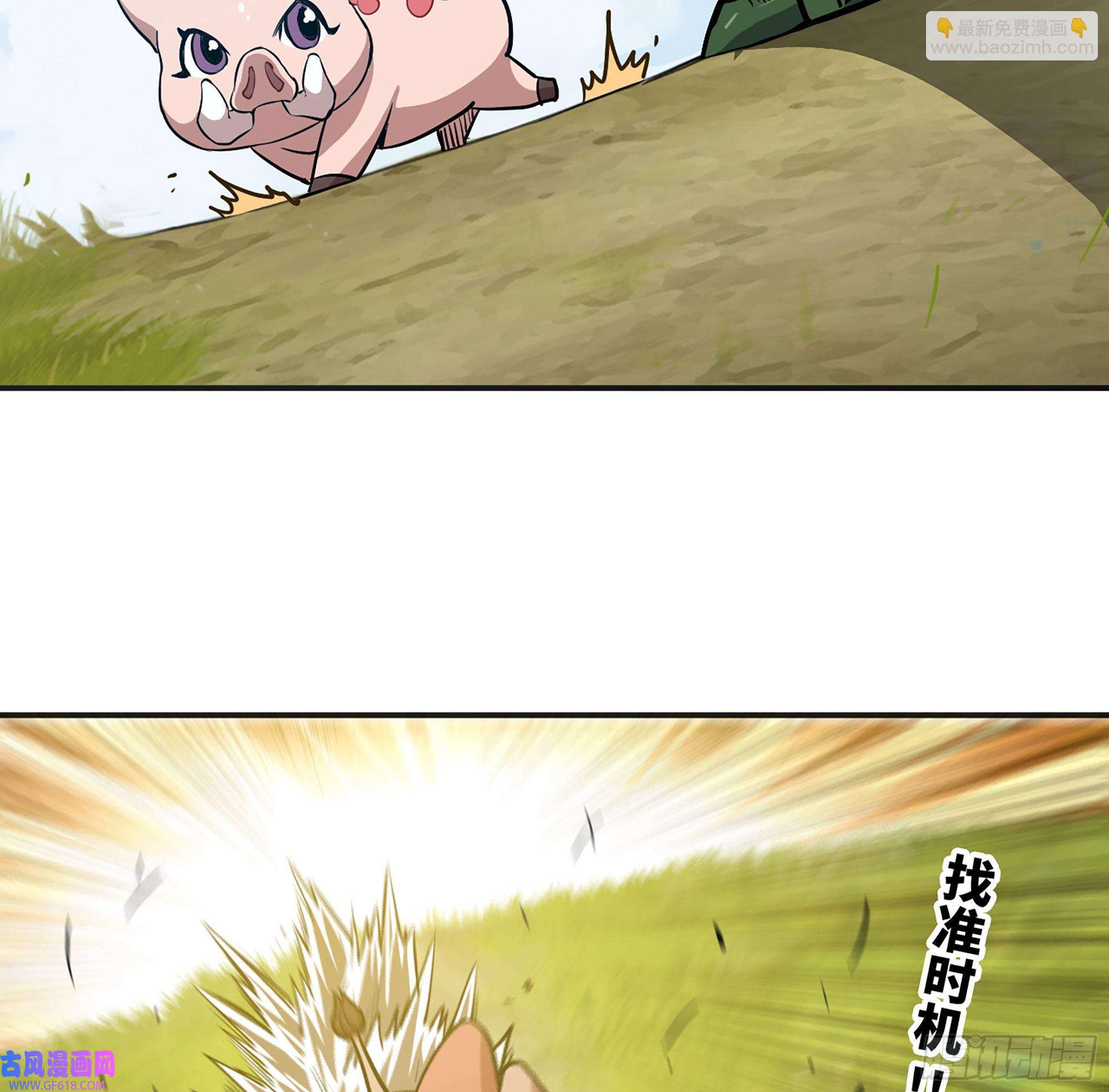 41.jpg