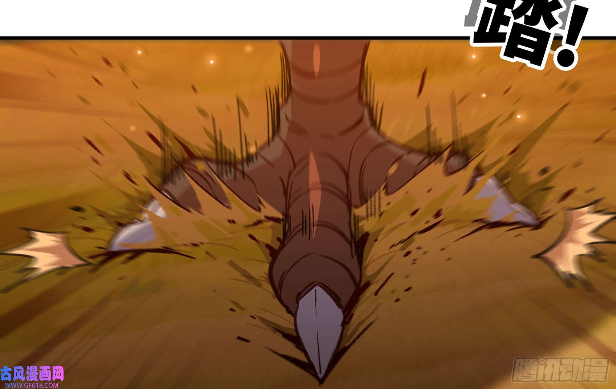 6.jpg