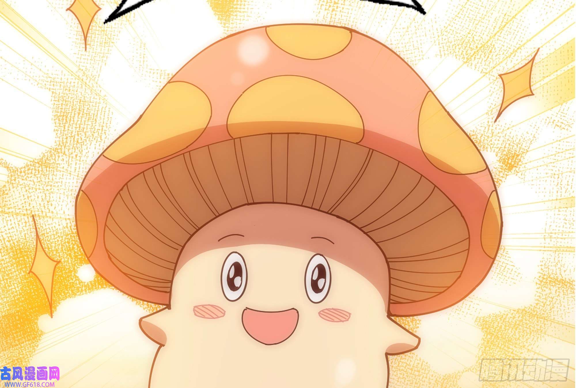 29.jpg