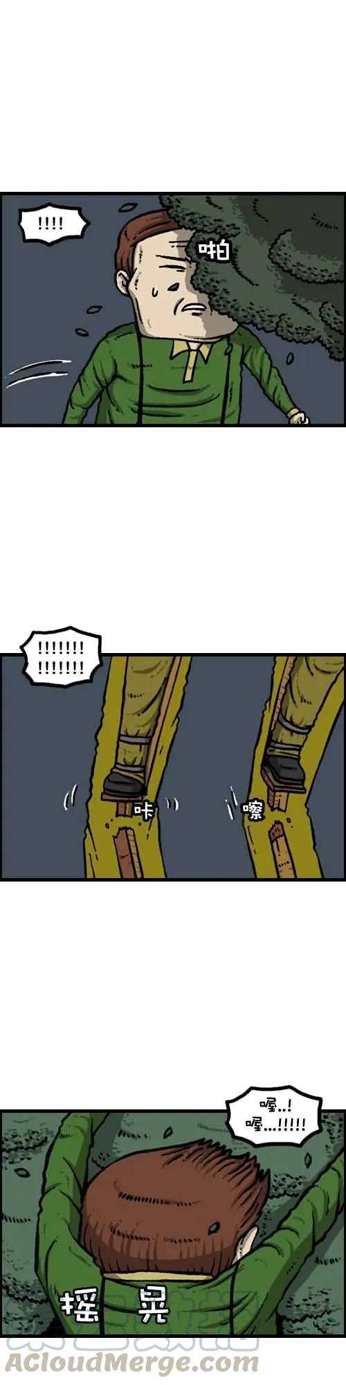 17.jpg