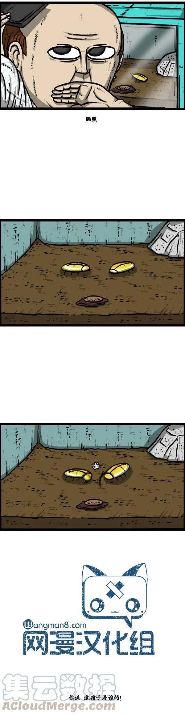 21.jpg