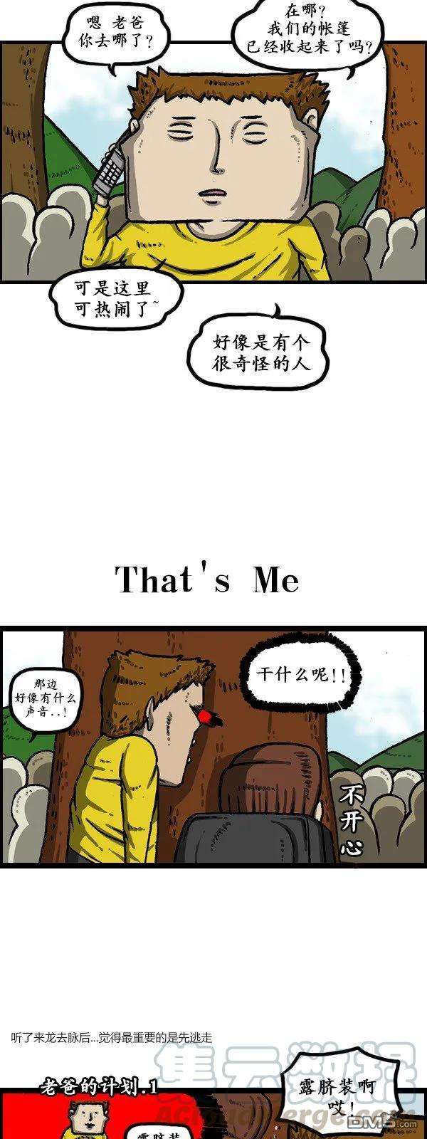 17.jpg