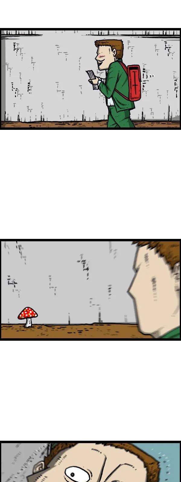 22.jpg