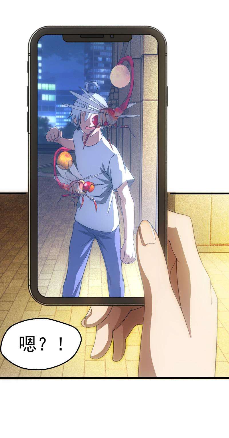34.jpg