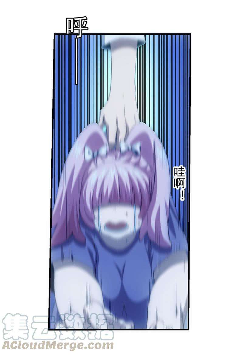 41.jpg