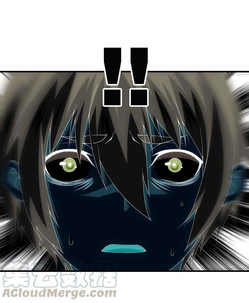 31.jpg