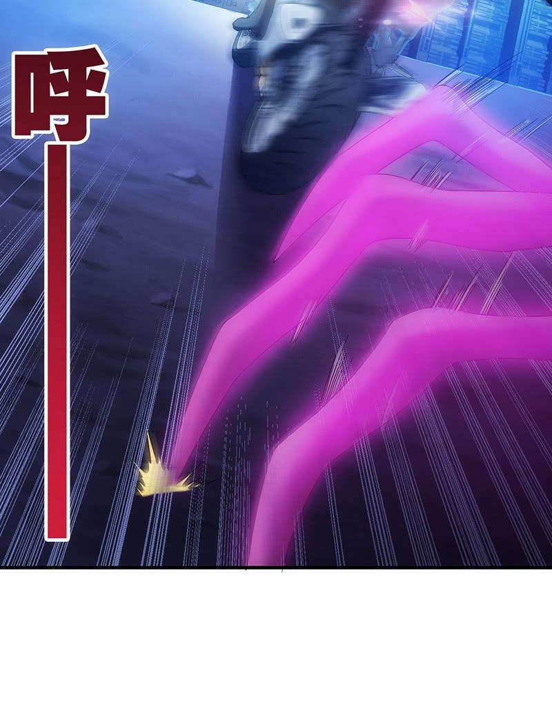 47.jpg