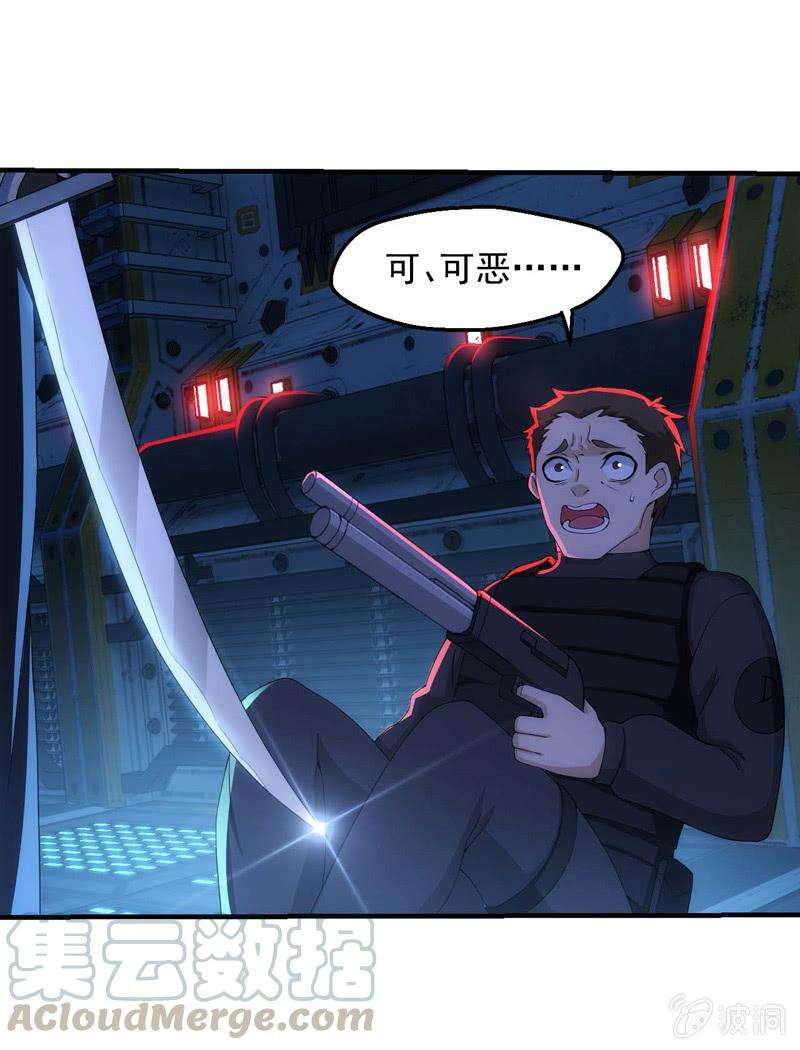 41.jpg