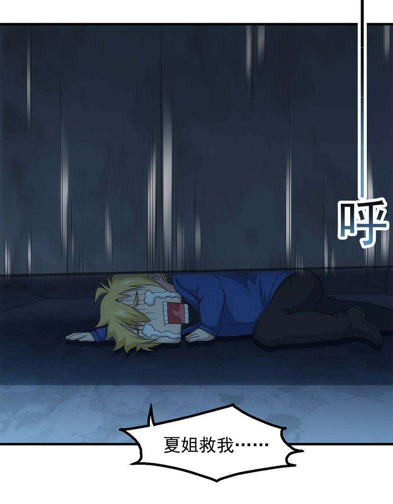24.jpg
